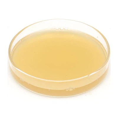 Wie verwendet man Fischproteindünger auf Mais?